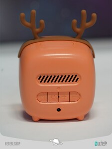 cute pet TV