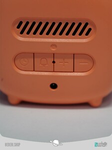 cute pet TV