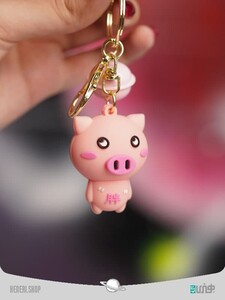 keychain set with silicone pen