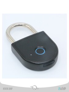 Fingerprint lock