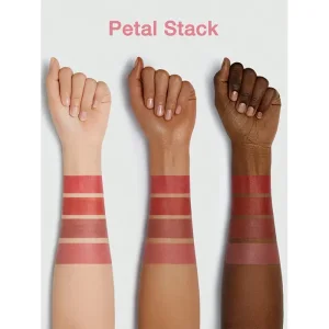 رژ لب 4 تکه شیگلم sheglam - رنگ petal stack