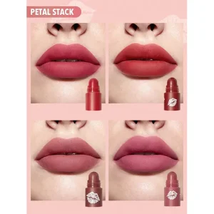 رژ لب 4 تکه شیگلم sheglam - رنگ petal stack
