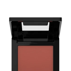 رژگونه پودری فیت می میبلین maybelline رنگ
