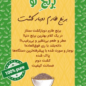 برنج طارم دوبار کشت- 1 کیلوگرم