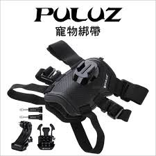 بند سینه Insta360 برای POV