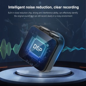 میکروفون مصاحبه دو نفره