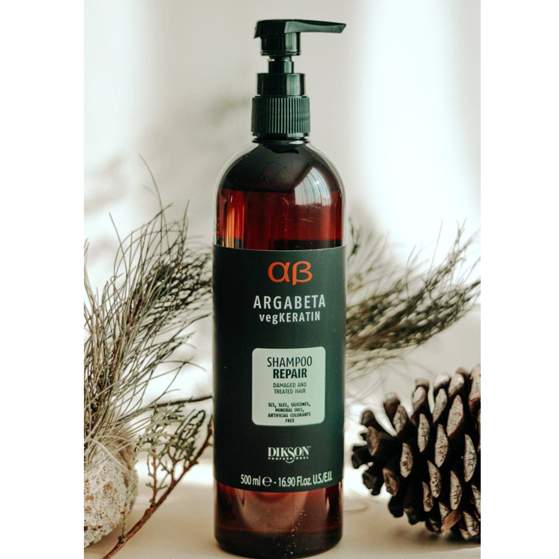 شامپو ترمیم کننده دیکسون آرگابتا مدل REPAIR
