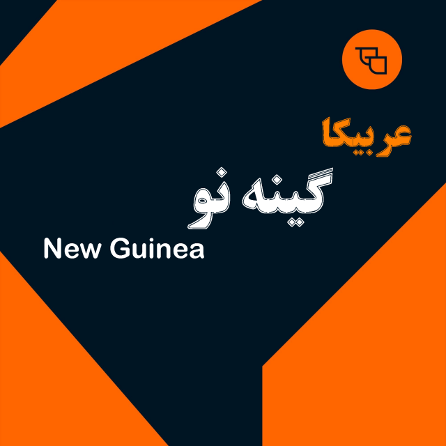 دانه قهوه عربیکا گینه نو