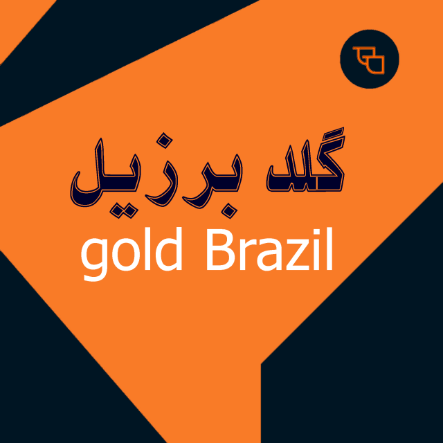 قهوه فوری گلد برزیل