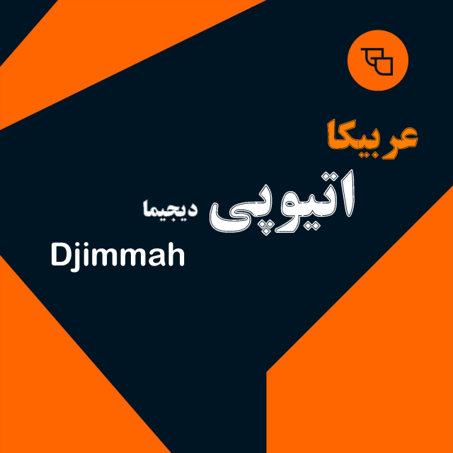 دانه قهوه عربیکا اتیوپی دیجیما