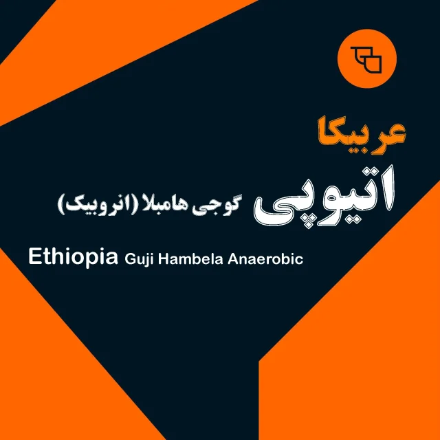 دانه قهوه عربیکا اتیوپی گوجی هامبلا اناروبیک