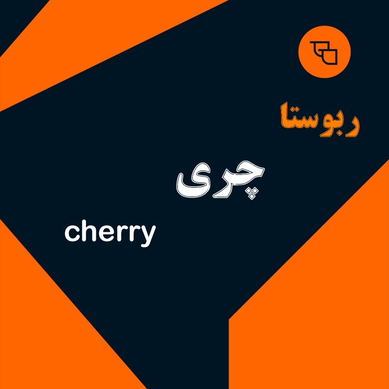 دانه قهوه ربوستا  چری