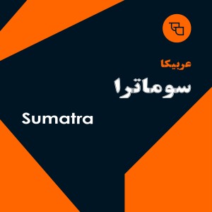 دانه قهوه عربیکا سوماترا