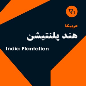 دانه قهوه عربیکا هند پلنتیشن