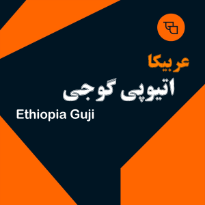 دانه قهوه عربیکا اتیوپی گوجی