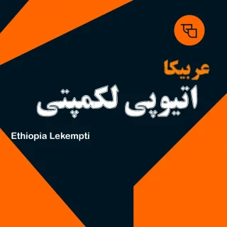 دانه قهوه عربیکا اتیوپی لکمپتی