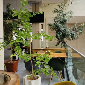 کافه نیسمو (Nismo Cafe)