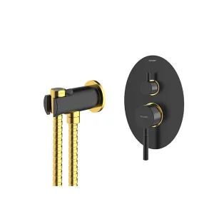 شیر توالت بیده توکار شودر مدل روگن