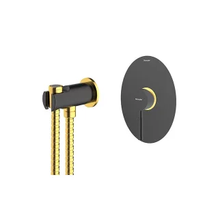 شیر توالت بیده توکار شودر مدل روگن