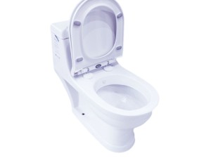 توالت فرنگی ایساتیس مدل ملینا