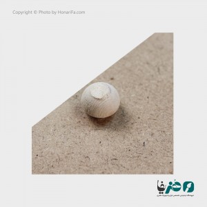 کاور چوبی جعبه فیوز مدل 497/1