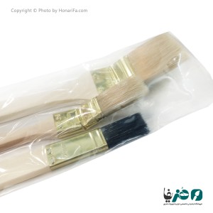 مجموعه سه عددی قلم مو گوشه زن دسته بلند مو زبر پارکساید