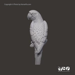 مجسمه دیواری طوطی ارتفاع 37 سانتی متر