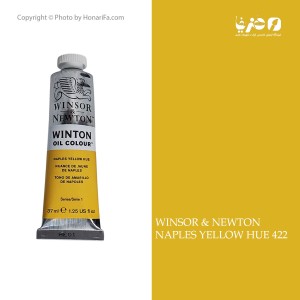 رنگ روغن وینزور نیوتن Naples yellow hue کد 422