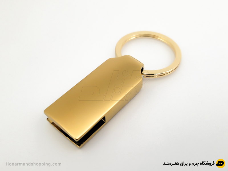 جاسوئیچی پلاکی لایت با حلقه