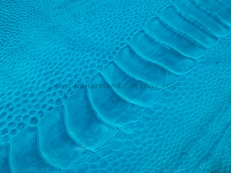 چرم ساق پای شترمرغ رنگ آبی روشن