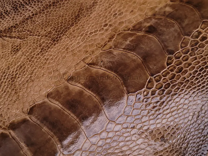 چرم ساق پای شترمرغ رنگ قهوه ای روشن