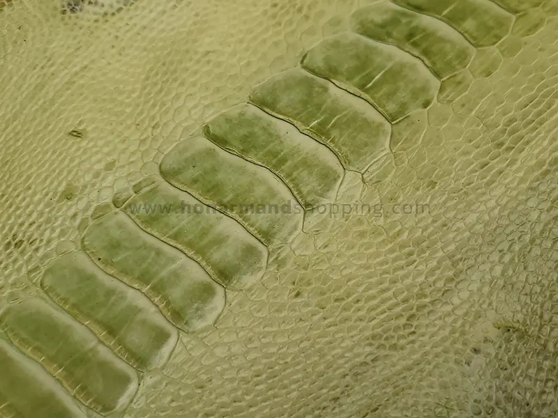 چرم ساق پای شترمرغ رنگ سبز مغز پسته ای