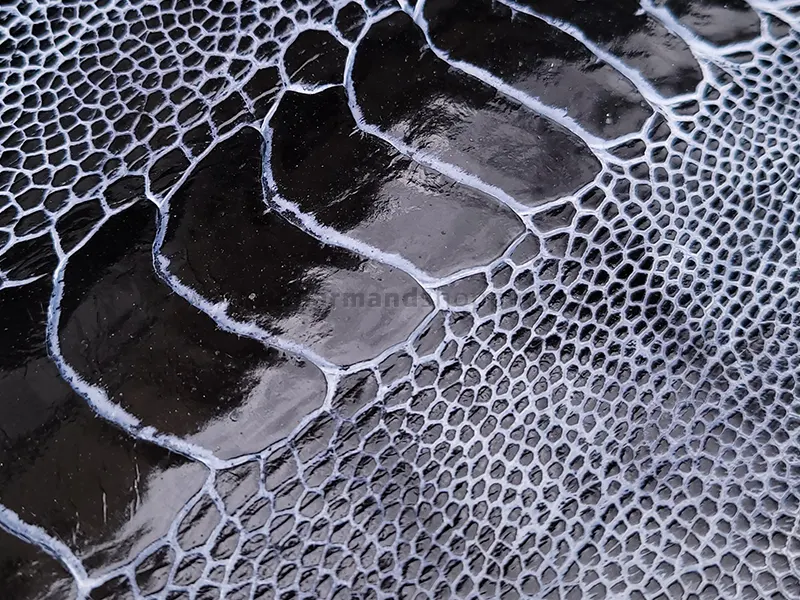 چرم ساق پای شترمرغ رنگ مشکی سفید