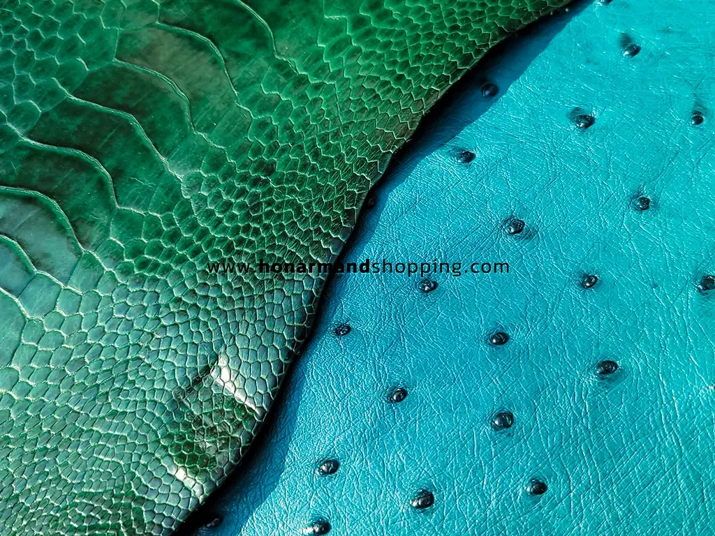 تفاوت چرم بدن شترمرغ و چرم ساق پای شترمرغ