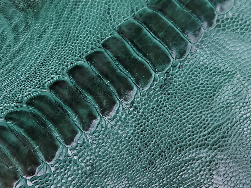 چرم ساق شترمرغ مدل ناخن دار رنگ سبز تیره