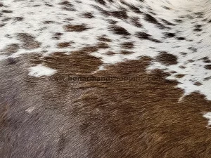 چرم طبیعی گاوی مودار