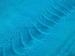 چرم ساق پای شترمرغ رنگ آبی روشن