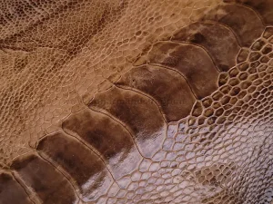 چرم ساق پای شترمرغ رنگ قهوه ای روشن