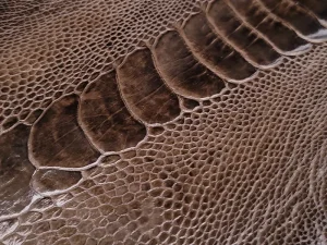 چرم ساق پای شترمرغ رنگ قهوه ای