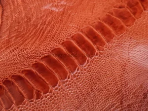 چرم ساق پای شترمرغ رنگ آجری