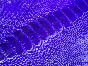 چرم ساق پای شترمرغ رنگ آبی کاربنی