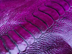 چرم ساق پای شترمرغ رنگ بنفش