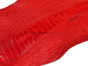 چرم ساق شترمرغ