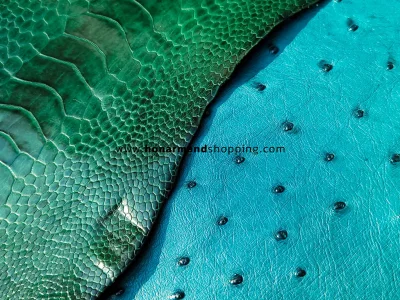 تفاوت چرم بدن شترمرغ و چرم ساق پای شترمرغ