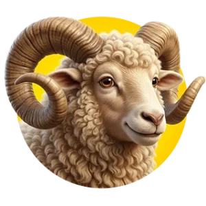 چرم گوسفندی