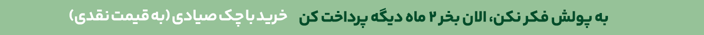 الان بخر دو ماه دیگه بصورت چک صیادی پرداخت کن