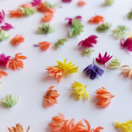 گل خشک توت فرنگی مینیاتوری(بسته 20 عددی)