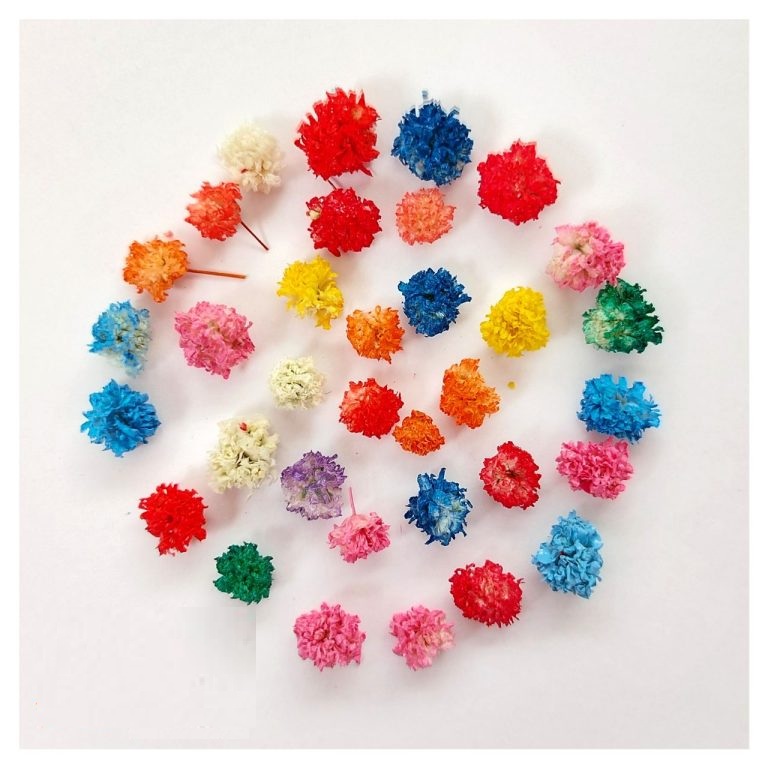 سر گل خشک ژیپسوفیلا بدون ساقه (بسته 30 عددی)