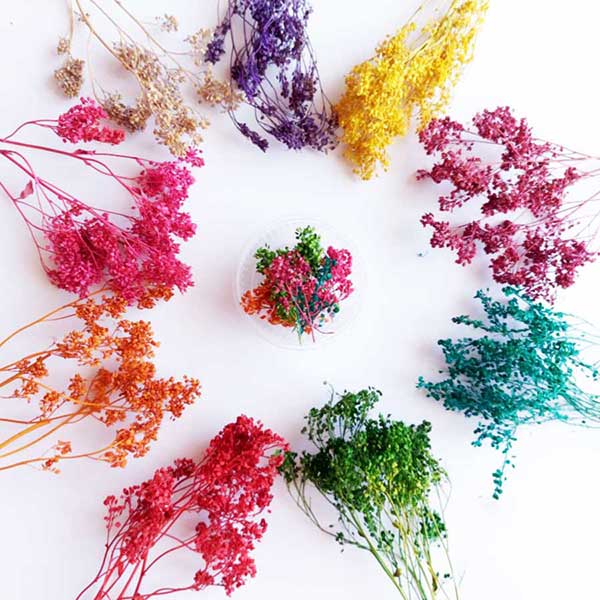 گل خشک سبزه ریزه(بسته ای)