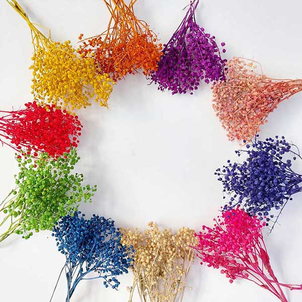 گل خشک عدسی(بسته کوچک)